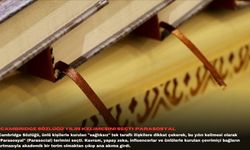 Cambridge Sözlüğü yılın kelimesini seçti: Parasosyal