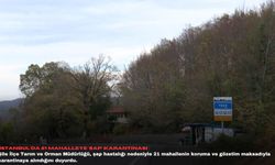 İstanbul'da 21 mahalleye 'şap' karantinası