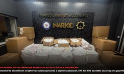 İstanbul'da 577 bin 500 sentetik ecza hap ele geçirildi