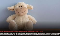 İthal edilecek oyuncaklara 'künye' denetimi yapılacak