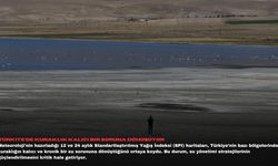 Türkiye'de kuraklık kalıcı bir soruna dönüşüyor