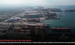 46 ilin ihracatı ilk 10 ayda arttı