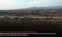 'Alev savaşçıları' fidan dikimi için sahada