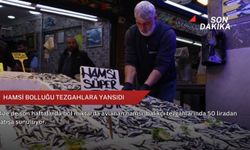Hamsi bolluğu tezgahlara yansıdı