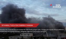 İstanbul Tuzla'da fabrika yangını
