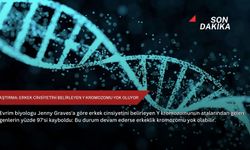 Araştırma: Erkek cinsiyetini belirleyen Y kromozomu yok oluyor