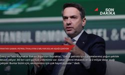 Bayraktar: Gabar, petrol ithalatını 2 milyar dolar aşağı çekiyor