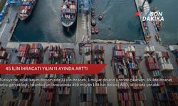 45 ilin ihracatı yılın 11 ayında arttı