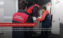 Yasal boy sınırı altındaki 3 ton istavrit yakalandı