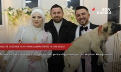 Denizli’de düğünde takı yerine çoban köpeği hediye edildi