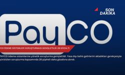 PAYCO ödeme sistemleri soruşturması genişletildi: 28 gözaltı