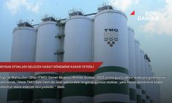 TMO'nun stokları gelecek hasat dönemine kadar yeterli