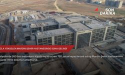 Hızla yükselen Mardin Şehir Hastanesinde sona gelindi