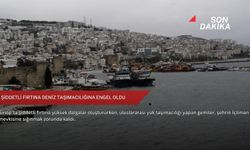 Şiddetli fırtına deniz taşımacılığına engel oldu