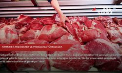 Kırmızı et arzı destek ve projelerle yükselecek