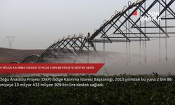 DAP Bölge Kalınma İdaresi 12 yılda 2 bin 86 projeye destek verdi