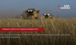 Tarımsal girdi fiyat endeksi ekimde arttı