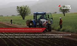 Çiftçilere sağlanacak desteklere ilişkin usul ve esaslar yeniden belirlendi