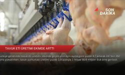 Tavuk eti üretimi ekimde arttı