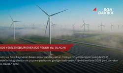 2026 yenilenebilir enerjide rekor yılı olacak