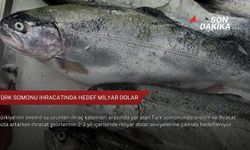 Türk somonu ihracatında hedef milyar dolar