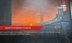Uşak'ta fabrika yangını