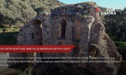 Nysa Antik Kenti'nde 1800 yıllık merdiven ortaya çıktı