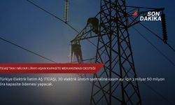 TEİAŞ'tan 1 milyar lirayı aşan kapasite mekanizması desteği
