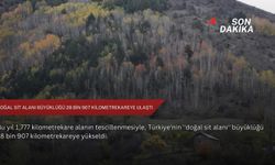 Doğal sit alanı büyüklüğü 28 bin 907 kilometrekareye ulaştı