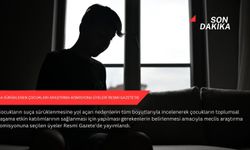 Suça sürüklenen çocukları araştırma komisyonu üyeleri Resmi Gazete’de