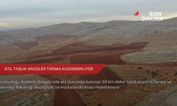 Atıl taşlık araziler tarıma kazandırılıyor