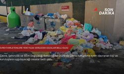 Çevreyi kirletenlere yeni yılda verilecek cezalar belli oldu