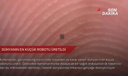 Dünyanın en küçük robotu üretildi