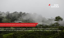 Milyonlarca yıldır görülmemişti: Amazon ormanlarında iklim değişiyor