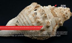 İspanya'da bulunan deniz kabukları en eski müzik aletleri olabilir