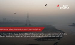 Hindistan'da yoğun sis nedeniyle uçuş iptalleri sürüyor