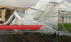 Tarım sigortaları kapsamında üreticilere 4,2 milyar lira hasar tazminatı ödendi