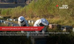 Arıcılık için mesleki standart geliyor