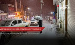 Van'ın yüksek kesimlerinde kar etkili oldu