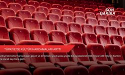 Türkiye'de kültür harcamaları arttı