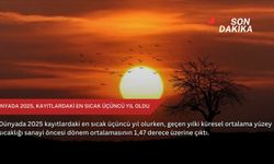 Dünyada 2025, kayıtlardaki en sıcak üçüncü yıl oldu