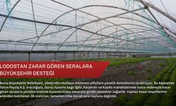 Lodostan zarar gören seralara Büyükşehir desteği