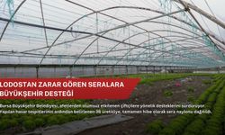 Lodostan zarar gören seralara Büyükşehir desteği