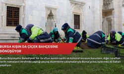 Bursa kışın da çiçek bahçesine dönüşüyor