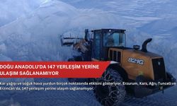 Doğu Anadolu'da 147 yerleşim yerine ulaşım sağlanamıyor