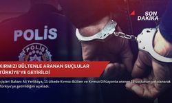 Kırmızı Bültenle aranan suçlular Türkiye'ye getirildi