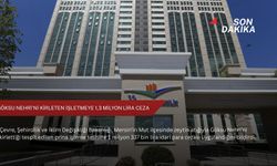 Göksu Nehri'ni kirleten işletmeye 1,3 milyon lira ceza