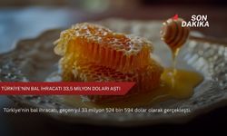 Türkiye'nin bal ihracatı 33,5 milyon doları aştı