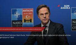 “Arktik bölgesinin güvenliğini sağlamak için atılacak adımları görüşüyoruz”