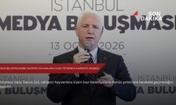 Gül: Bazı belediyelerimiz sahipsiz hayvanlarla ilgili yeterince harekete geçmedi